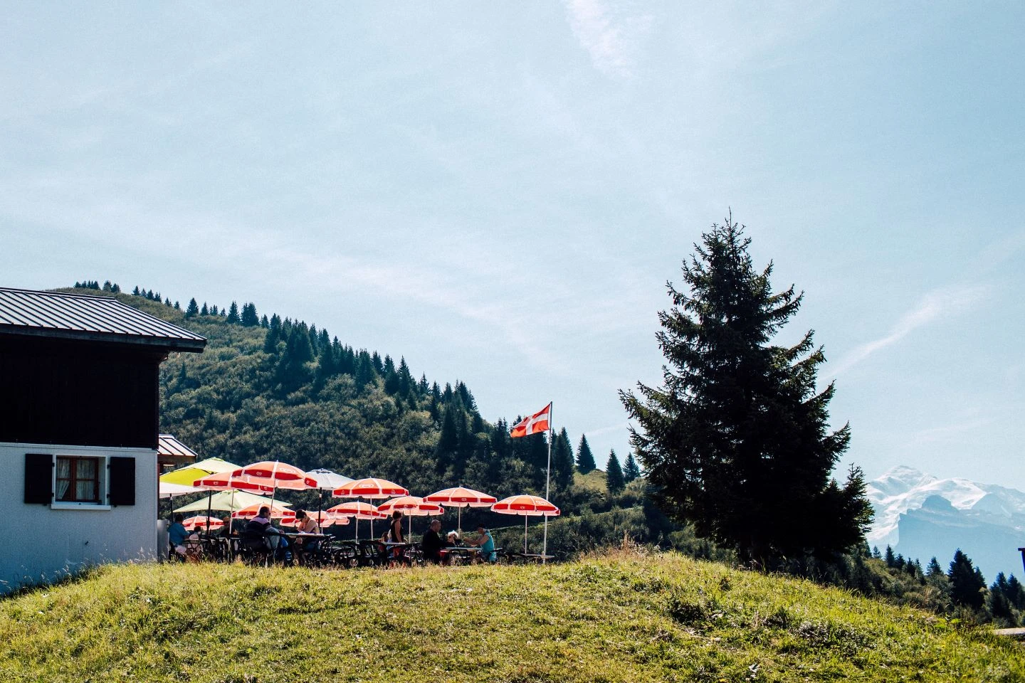 Restaurant Col de Jouz Plane